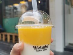 -娃哈哈·奶茶(武林店)