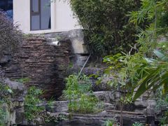 -椿杨樘·明康泡浴养生馆(重庆店)