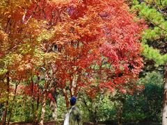 -长春市南湖公园