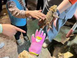 -酷嗒动物文化乐园(cutezoo西溪乐天城店)