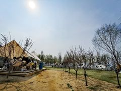 -TIPPI营地 房车主题·露营烧烤团建轰趴(天安假日店)