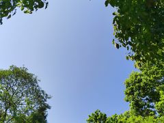 -T80科技文化国际社区-停车场