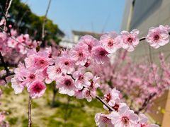 -国家电网(金山供电营业厅)