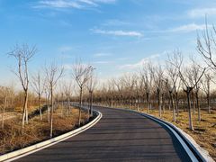 -天津东丽湖风景区