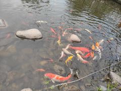 -厦门方特东方神画