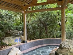 -腾冲洞山温泉村