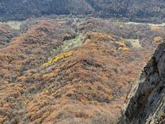 -帽儿山风景区