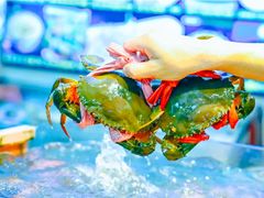 -鑫悦楼煎蟹·16年海鲜大排档