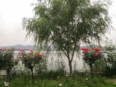 -石湖景区