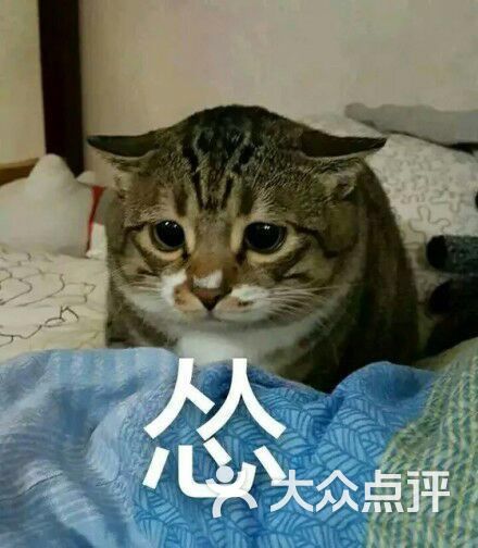 桦烟欧尼           sofia乖小宁           hotpink_7572