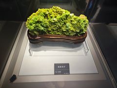 -安徽省地质博物馆