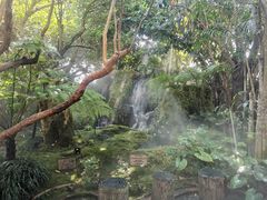 -Chom Cafe and Restaurant