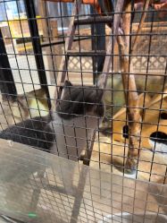 -酷嗒动物文化乐园(cutezoo西溪乐天城店)