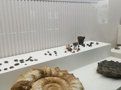 -青岛贝壳博物馆
