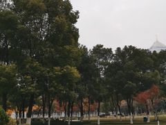 -西北湖绿化广场