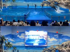 -福州罗源湾海洋世界旅游区