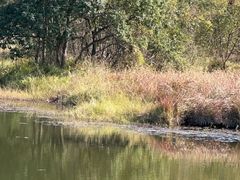 -福建鲤鱼洲酒店