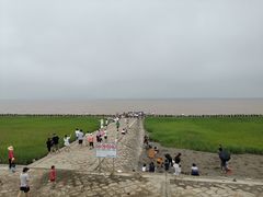 -南汇嘴观海公园