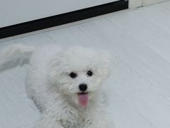 -瑞派宠物医院·内科·软组织·绝育中心(沈阳八纬路分院)