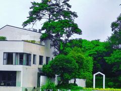 -中国科学院华南植物园