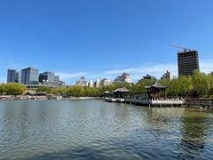 -莲花池公园