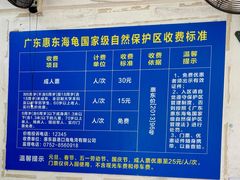 -广东惠东海龟国家级自然保护区