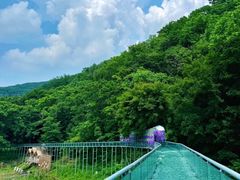 -参仙谷生态旅游度假区