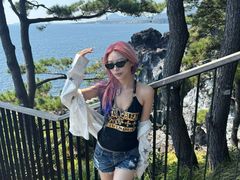 -柱状节理带