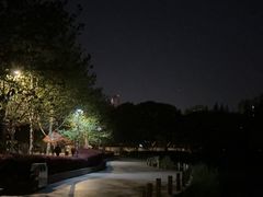 -青枫公园