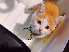 -悠提茶饮(紫峰广场店)