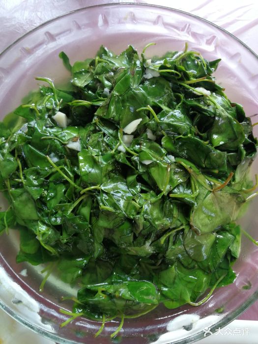 随意居·农家菜民宿(林屋洞西门店)-四叶菜-菜-四