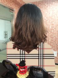 -呈美国际美肤养生艾洗造型