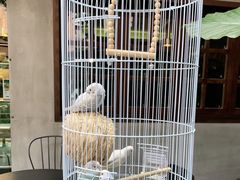 -ChitChat奇洽·Bistro(黎黄陂路店)