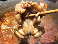 -老天桥蛙炉火锅(姑苏总店)