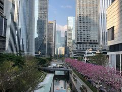 -深圳湾万象城(南山店)