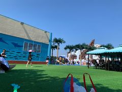 -秦皇岛乐岛海洋王国