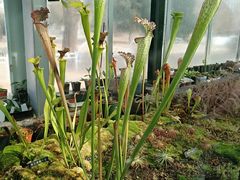 -国家植物园南园