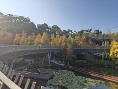 -福道
