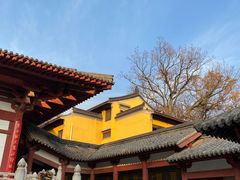 -灵谷景区