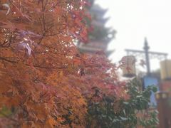 -常熟方塔园