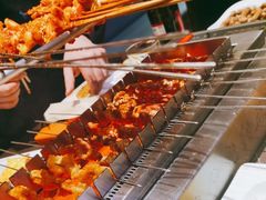 -邢氏老太太烤串(北兴街店)