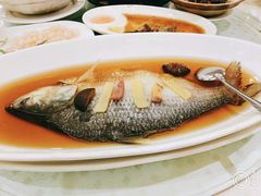 古法蒸鲥鱼-顺风海鲜港(金玉兰店)