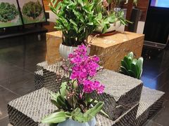 -黔蘑菇四季餐厅(观山湖店)