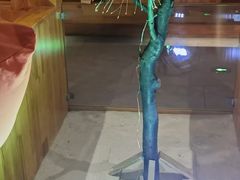 -星河湾温泉洗浴酒店