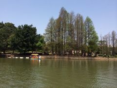 iphone_upload_pic-四海公园(南山区)