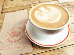 salted&nbsp;caramel-Elephant Grounds(STARSTREET)