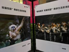 -西安电影制片厂