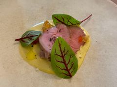 -Sketch(The Lecture Room & Library)