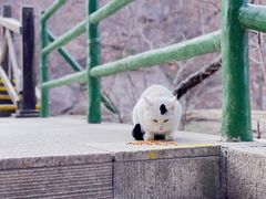 -崂山九水游览区
