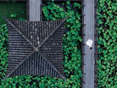 -绍兴镜湖国家城市湿地公园